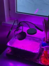 Grow-Light Lamps Timer Flowers Desktop-Clip LED Phyto Full-Spectrum For Plants DC5V USB