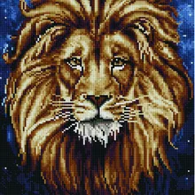 Алмазная мозаика EF 899 Созвездие льва 30*40