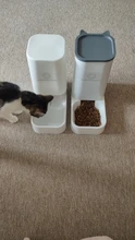 Feeding-Bowl Drinker Fountain Automatic-Feeder Dog Cats Small Plastic Pet-Dog-Cat Safety