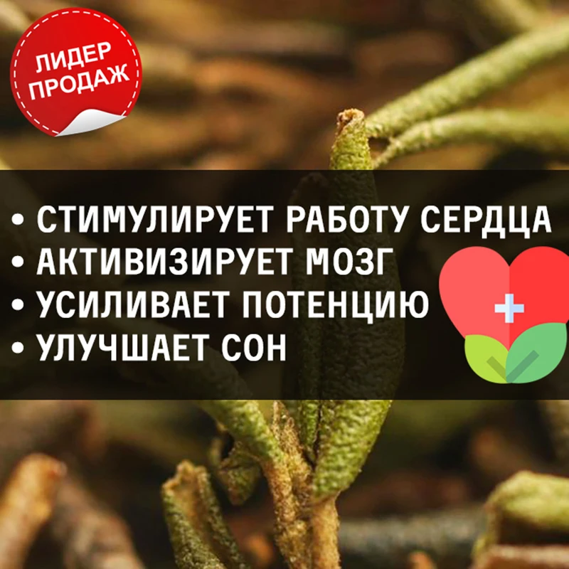 Herbal Sagan Dyla tea, 100g, Rhododendron Adams, Sagan DYLA Green tea Chinese milk oolong teguan Yin leaf top grade set tiguanin Te Guan Yin teguanin GABA Gift Gift Chinese delicious strainer for brewing ginseng Jasmin