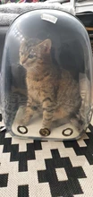 Bolsa de viaje portátil para gatos y perros, cápsula espacial transpirable de alta calidad, portador transparente desechable, mochila para mascotas