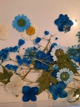Hojas de resina de flores secas para decoración del hogar, Molde de resina UV Expoxy para arte de uñas, flores prensadas para artesanía para decoración del hogar