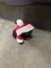 Costume Jackets Yorkie-Outfit Cat-Clothing Puppy Small Dogs Coat Hooded Pet-Dog Winter Dog