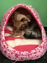 Cat Bed Nest Kennel Dog-Beds Cat-House Princess-Bed Dogs Washable Small Warm for Pet-Dog