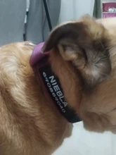 Necklace Name-Tags Dog-Collar KOMMILIFE Personalized For Dogs Nylon with Explosion-Proof