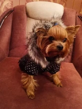 Coat Dogs-Clothing Dot-Pattern Winter Hooded Pet-Dogs New Xl To High-Quality