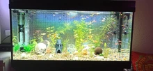 Led-Lighting-Lamp Dimmer Timer Fish-Tank-Light Aquarium Planted NICREW for 32-74cm 110V-240V