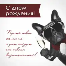 Frame Braun-Series 11b-Foil for 