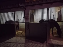 Solar-Lamp Cable Solar-Pendant-Light Double-Head IP65 Garden Outdoor Waterproof Suitable-For