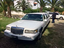 Dome Light Signal-Lamp Canbus-Bulb C5w Led 36mm 31mm 39mm Auto-Interior-Reading-Lamps