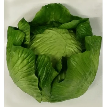 

Salad Green fake