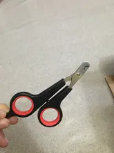 Cortador de uñas para mascotas, cortador de uñas para pies, perro, gato, conejo, toenail, herramienta de aseo animal, recortador, cizalla para loros y pájaros gerbidos