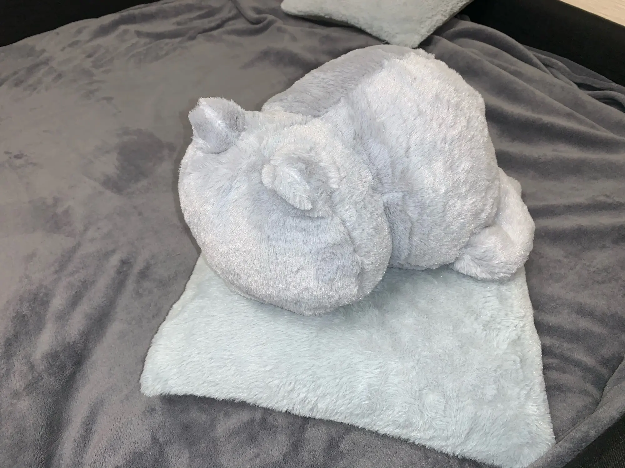 Cozy Cat Plush Cushion9