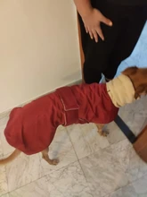 Jacket Clothing Coat Greyhound Waterproof Dog Dogs Large Super-Warm Medium Thick 