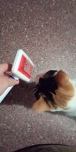 Multi-propósito peine para perro y gato aguja de cepillo para el cabello para mascota para Yokie cachorro perro pequeño removedor de pelo de belleza para mascotas aseo herramienta