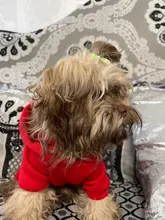 Ropa cálida de invierno Para Perro, Abrigo con capucha, disfraz de Perro, chaqueta de lana Para Bulldog Francés, Chihuahua