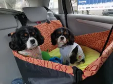 Protector Hammock Blanket Pet-Dog-Carrier Single-Seat-Cover Waterproof Cushion Pet-Supplies