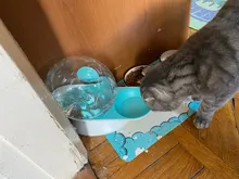 Dispensador de agua automático con forma de caracol para gatos, fuente para mascotas, tazón para beber grande, sin electricidad