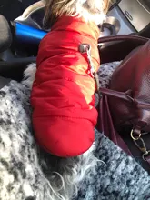 Vest Jacket Dog-Coat Pet-Dog French-Bulldog Warm Dogs-Chihuahua Small Fleece Winter Large