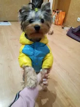 Outfit Jacket Hoodie Dog Warm Waterproof Winter Coat Splice Pet-Puppy 6-Colours 8-Sizes