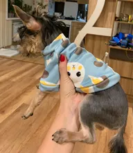 Rabbit Print Pet Cat Costume for Cats Soft Kedi Katten Sweatshirt Hoodie Spring Summer