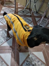 MySudui Medium Big Dog Winter Clothes For Dogs Pets Clothing Reflective Dog Jackets Outdoor