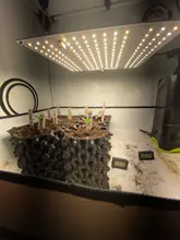 600W LED Diodes 2x3ft-Tent Grow-Light Seedling-Veg High-Ppfd Samsung Lm281b Blooming