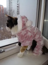 Pijamas de perros para otoño e invierno, Mono para perros pequeños, jerseys Shih Tzu Yorkshire, ropa de lana suave para cachorros y gatos