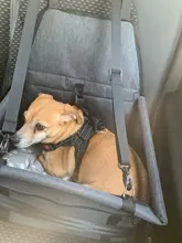 Puppy-Carrier Hammock Pet-Bag Pet-Products Travel Carrying Breathable Waterproof Folding