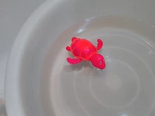 Juguetes de baño con forma de tortuga y Delfín para bebés, 1 Uds., juguete para nadar, accesorios para piscina, Color al azar