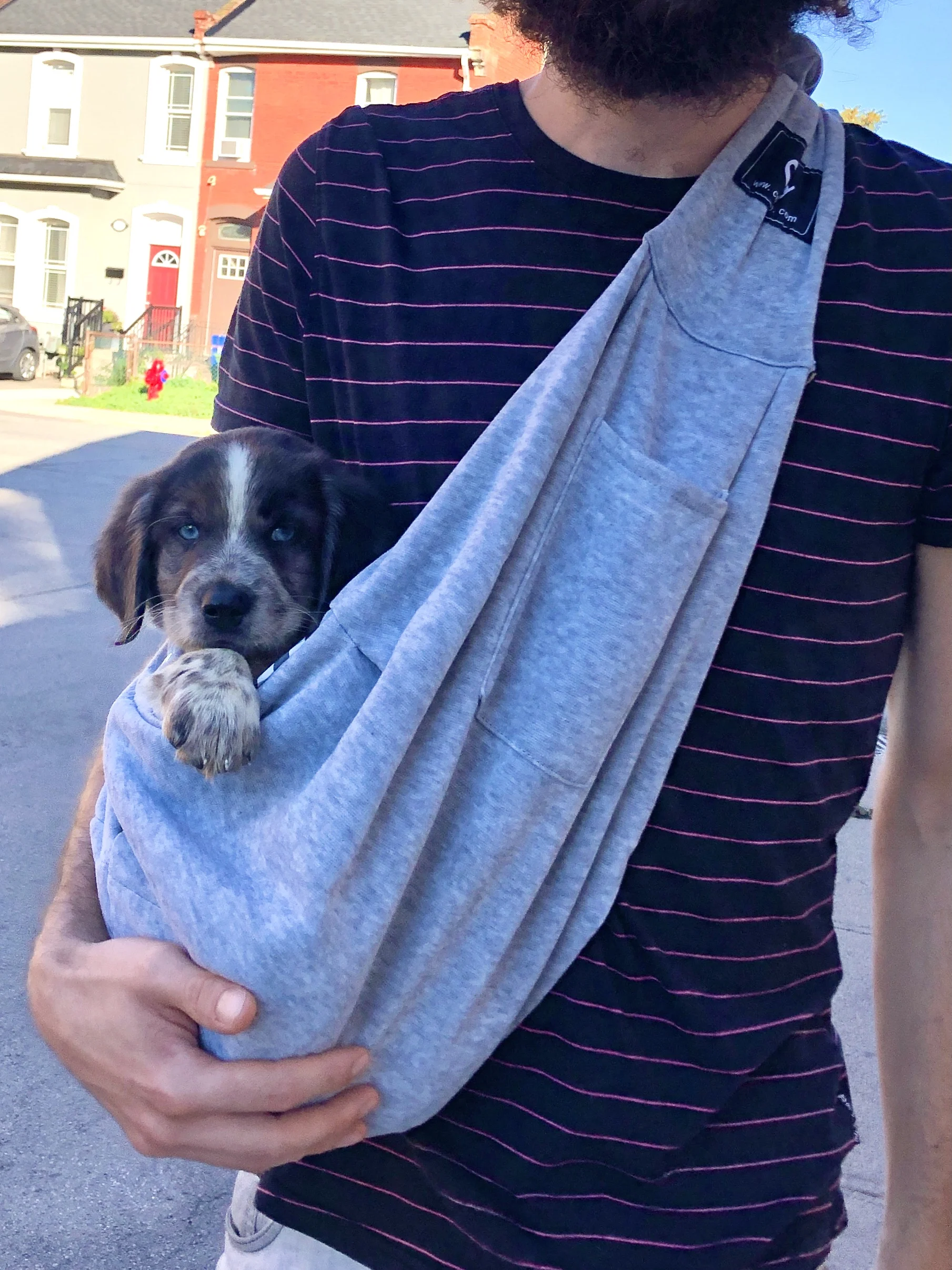 DogMEGA Handsfree Reversible Small Dog Sling Carrier