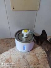 Drink-Bowl Dispenser Active Water-Fountain Cats Automatic CARBON-FILTER Dog Electric