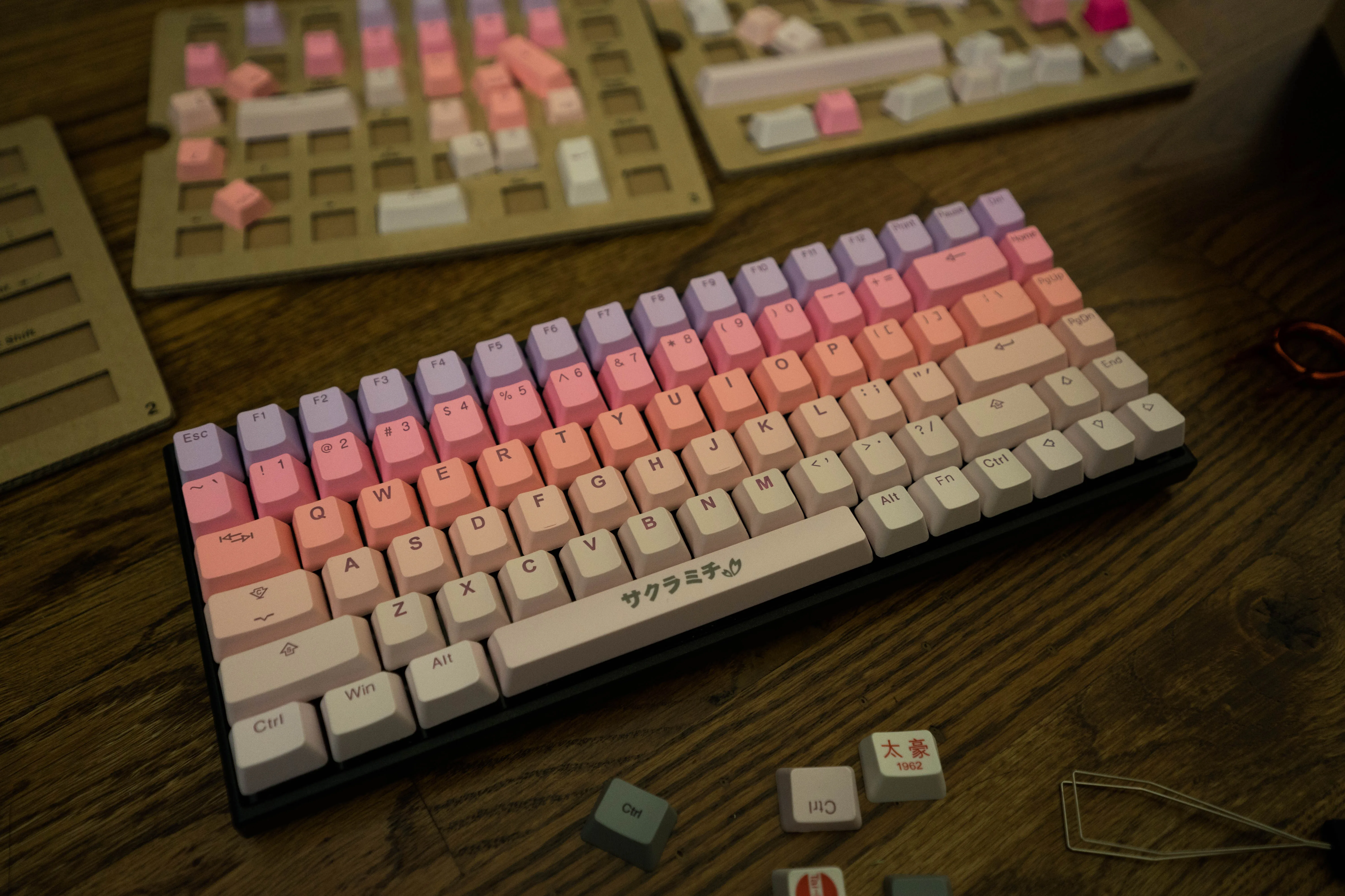 Tai Hao Sakura Michi