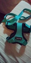 Leash-Set Vest Harness Puppy Escape-Proof Kitten And for Cat with Reflective-Strips Adjustable