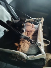 Blanket Hanging-Bags Car-Seat-Bag Pet-Supplies Travel-Accessories Safety Waterproof Double-Thick