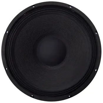 

310 mm Woofer 8 Ohm 300W