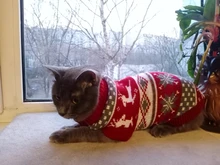 Antumn-ropa de invierno para gatos abrigo de suéter Katten para perros, disfraz de gato para perros pequeños, Chihuahua, Pugs, Bulldog francés