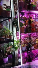 LED Grow Light 220V Full Spectrum LED Bar Lamp for Plants High Luminous Efficiency 8W