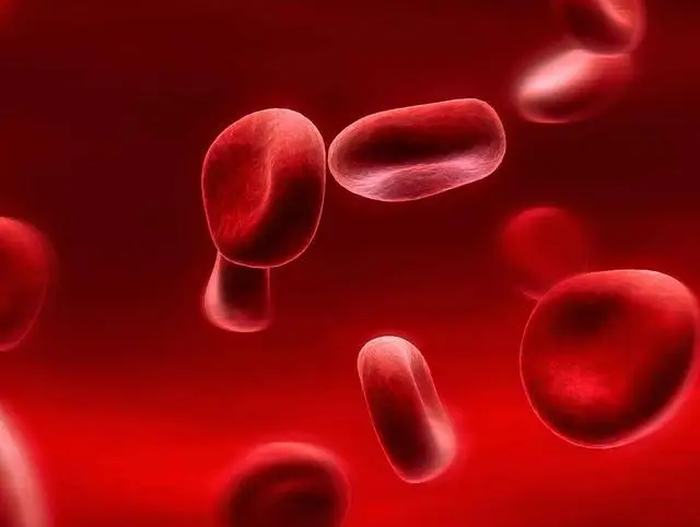 正常人体中血红蛋白的正常值范围-养生法典