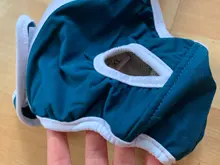 Panties Underwear Physiological-Pants Dog-Shorts Sanitary Washable Soft-Girl Female Pets