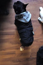 Jacket French Bulldog Dog Winter SUPREPET Coat Pet-Dog Dogs Large Cotton for Warm Perro