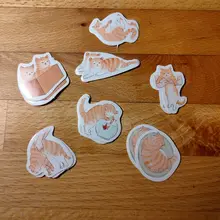 Lost a cat-mini pegatinas decorativas de papelería, conjunto de álbum diario de recortes, palo de etiqueta Kawaii, papelería
