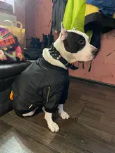 Dog-Coat Winter HOOPET for Dogs Clothing Warm Christmas Big