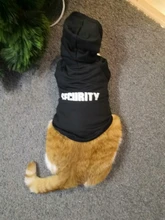 Cat Clothes Pet Cat Coats Jacket Hoodies For Cats Outfit Warm Pet Clothing Rabbit Animals