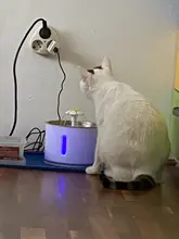 Fuente de agua para perros o gatos, dispensador eléctrico-automático, silencioso, y con luz LED, alimentador USB, capacidad 2,4 L