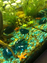 Miniature Aquarium Ornaments Fish-Tink-Decor Sea-Star Resin Cute Multicolor Best-Quality