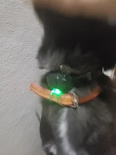 Collar de entrenamiento Digital para perros, collarín de 800m, impermeable, recargable, para mascota de Control remoto, con pantalla LCD, sonido de vibración y choque de todos los tamaños