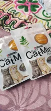 Cat-Toys Cattle-Grass Menthol-Flavor Organic Catnip Funny 100%Natural Care Clean-Teeth