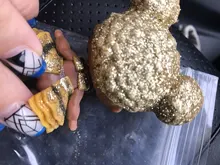 LOL SURPRISE-reina abeja con vestido y niños, conjunto de ropa brillante Punk boy con traje ostentoso con cuerpo de niño, juguete de colección