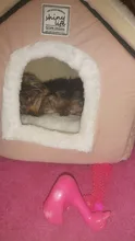 HOOPET-casa de perro para interior, cálida perrera, nido de cueva de Gato, nido de conejo, esterilla extraíble lavable, cama de dormir acogedora para gatos